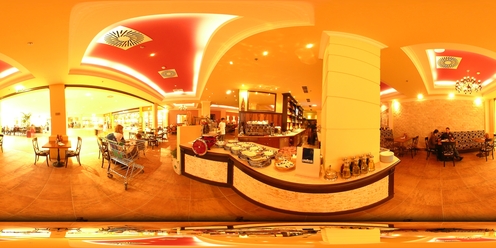 Flash Version 8